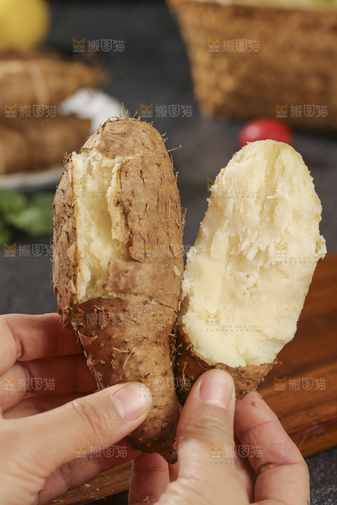 毛薯