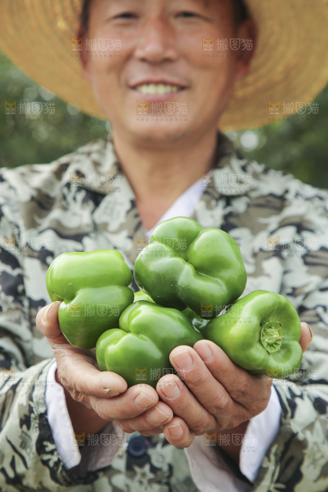 手里拿着新鲜青圆椒