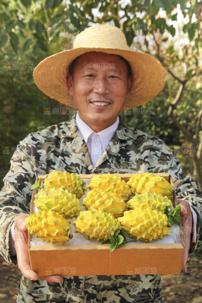手里拿着燕窝果