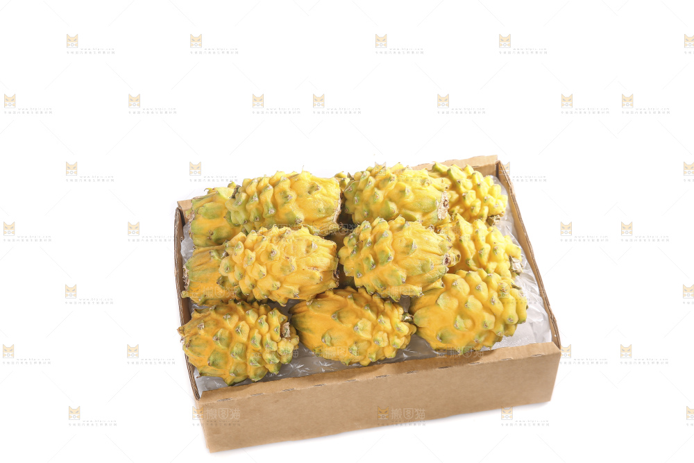 白底上的燕窝果