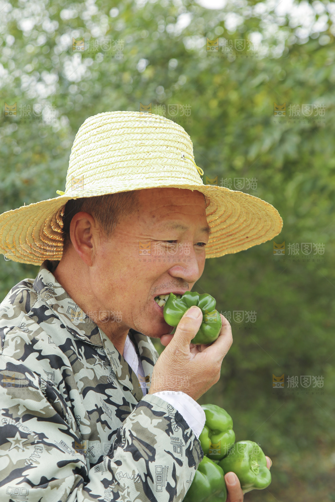 手里拿着新鲜青圆椒
