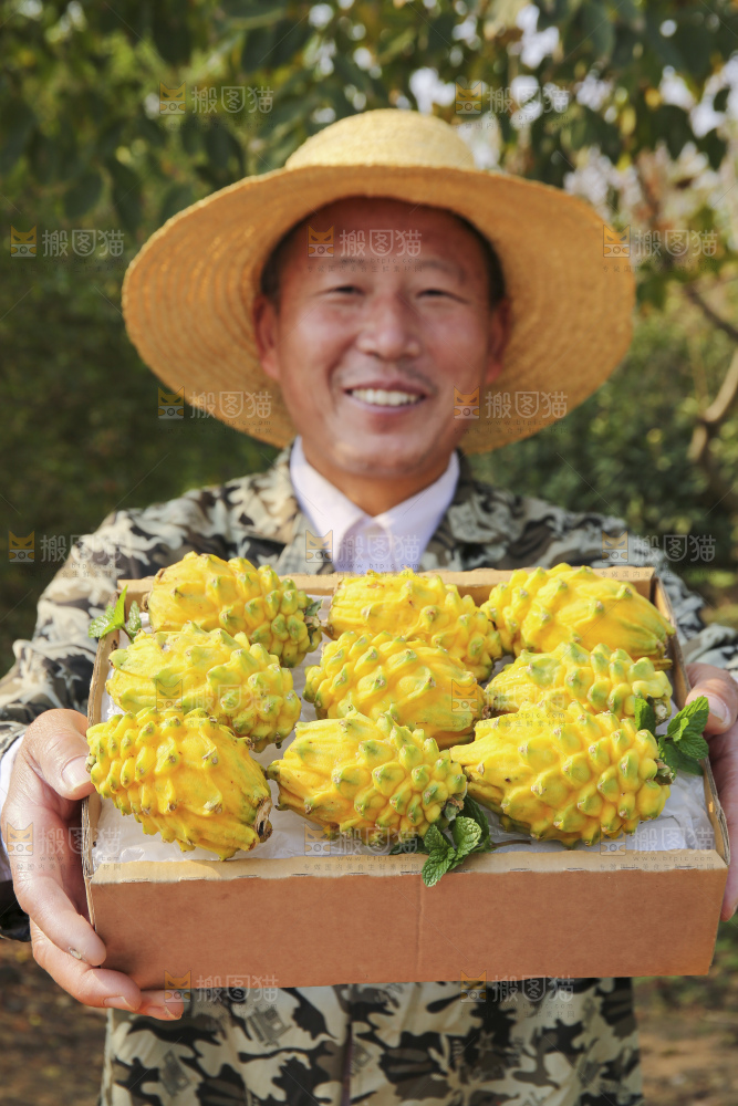 手里拿着燕窝果