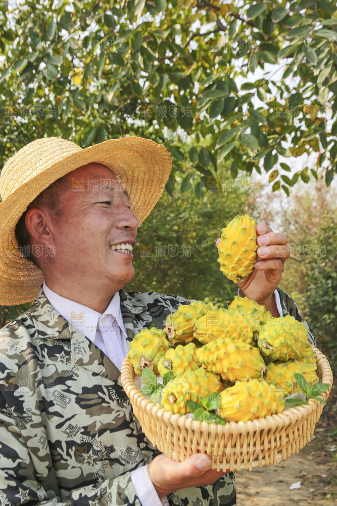 手里拿着燕窝果