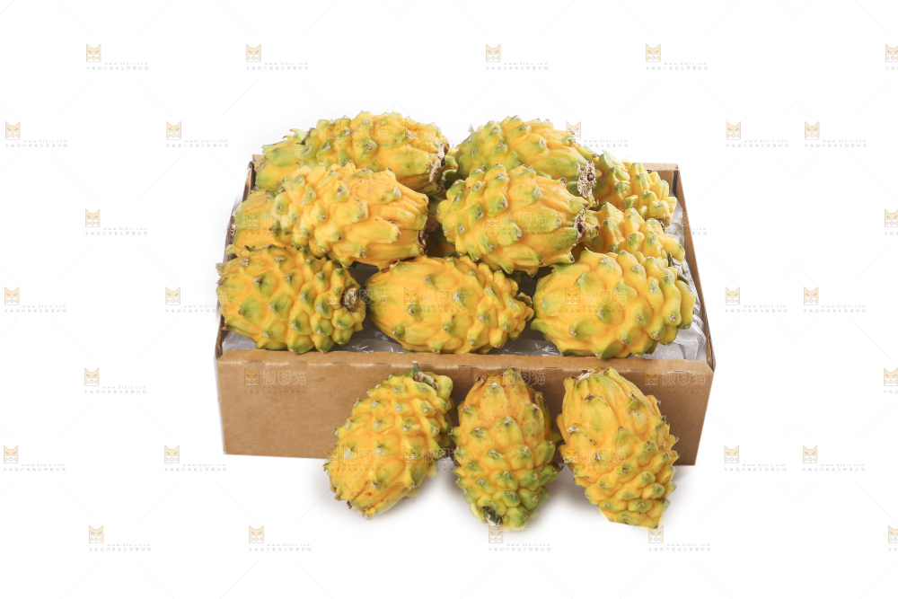 白底上的燕窝果
