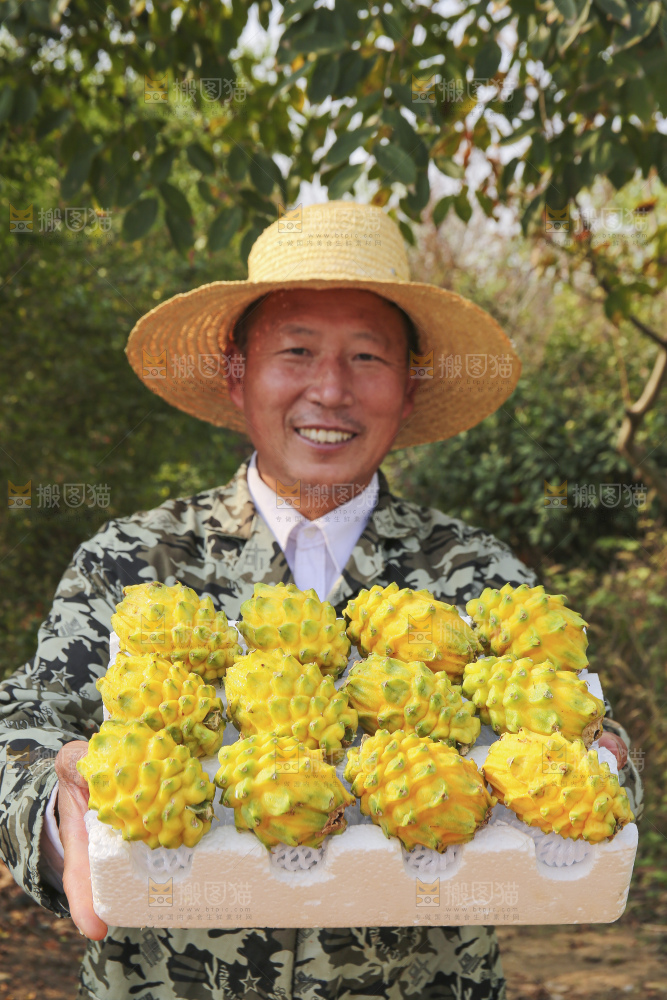 手里拿着燕窝果