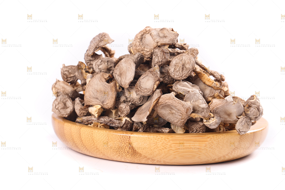 白底上的鹿茸菇