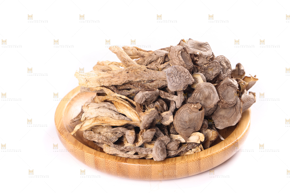白底上的鹿茸菇