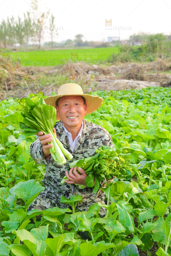 手里拿着广东菜心