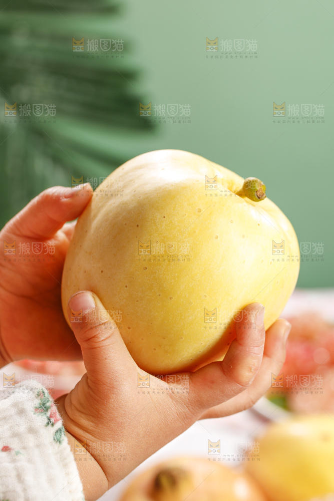 浅底上的维纳斯苹果