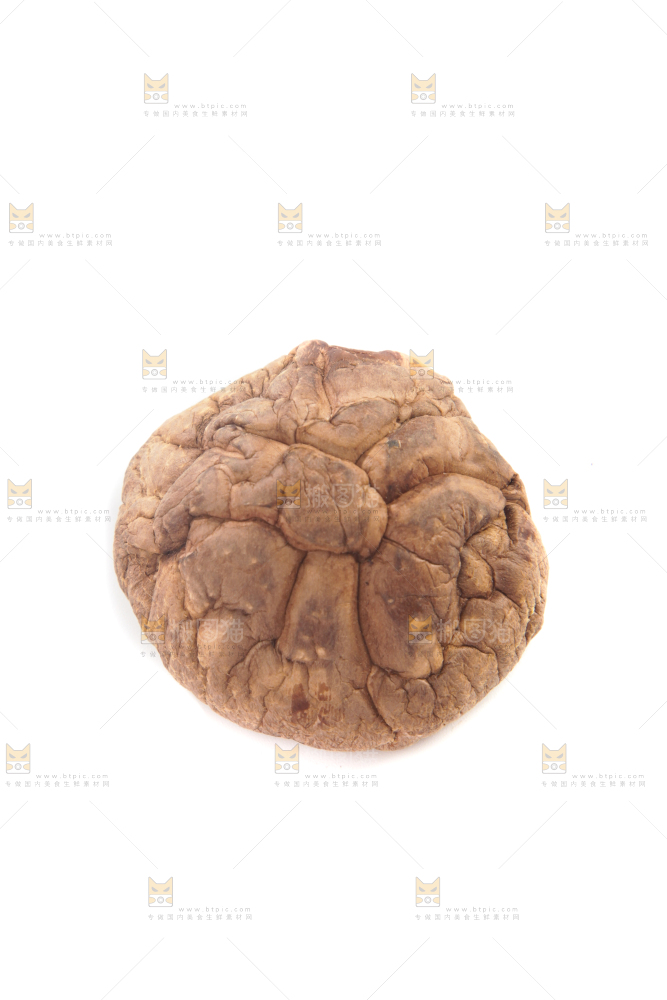白底上的干香菇