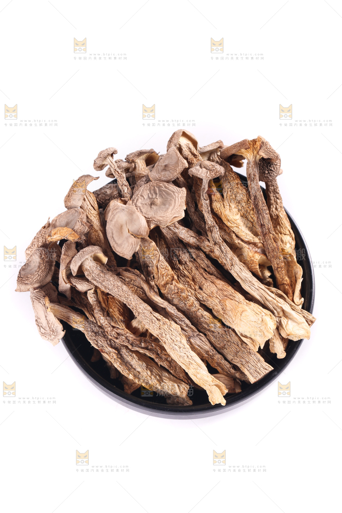 白底上的鹿茸菇
