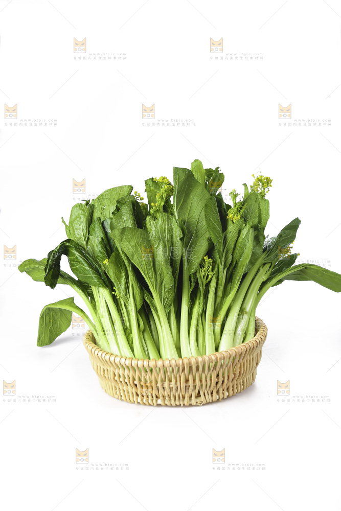 白底上的广东菜心