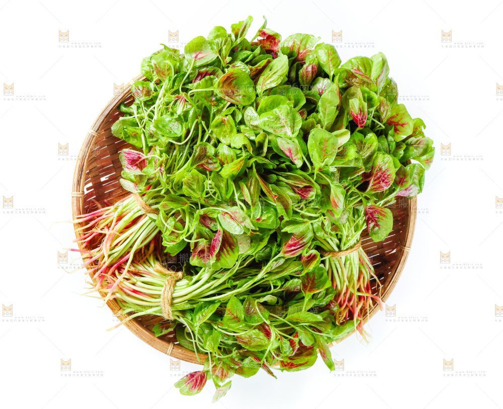 白底上的农家苋菜