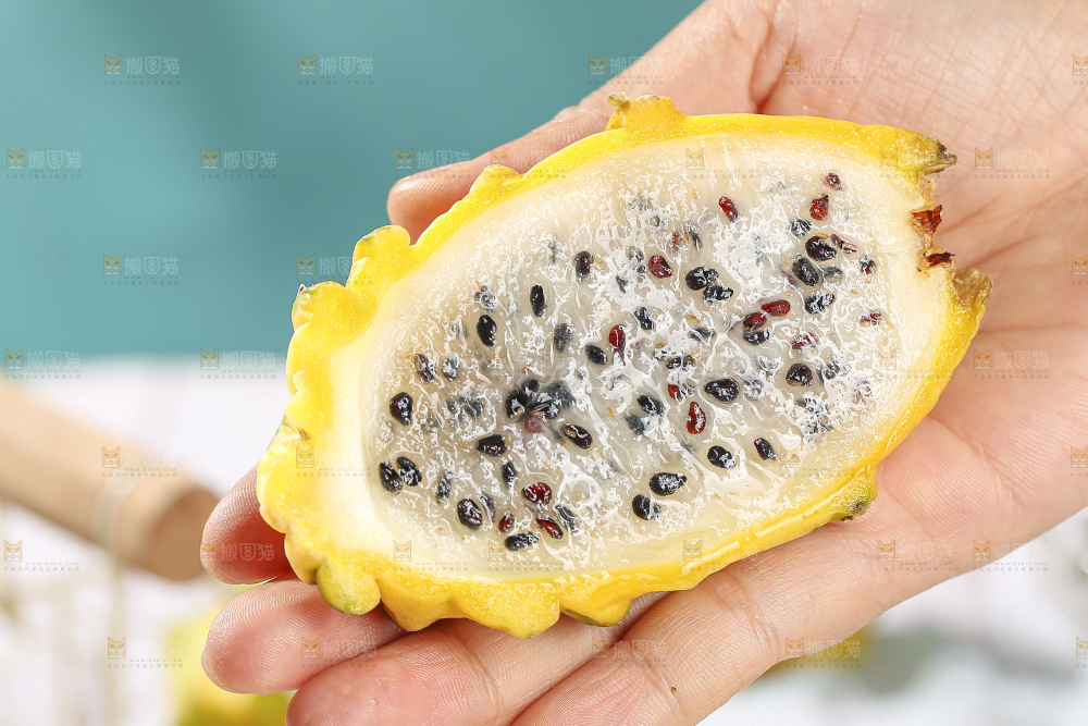 浅底上的燕窝果