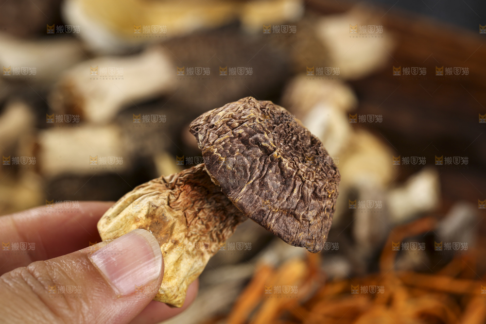木底上的菌菇汤