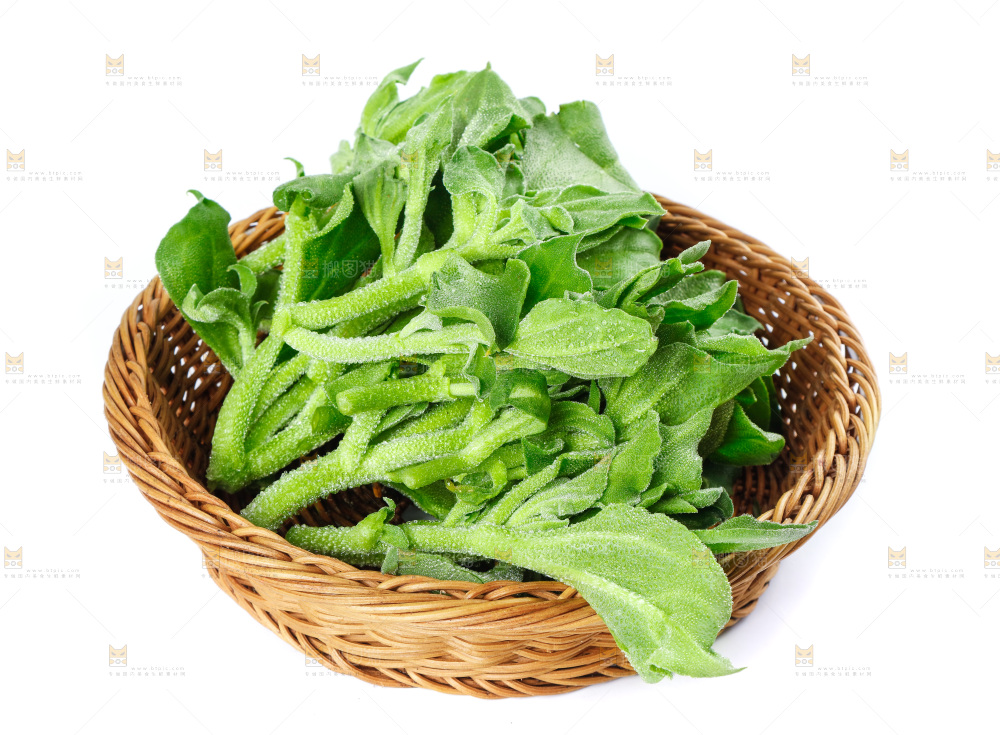 白底上的冰草