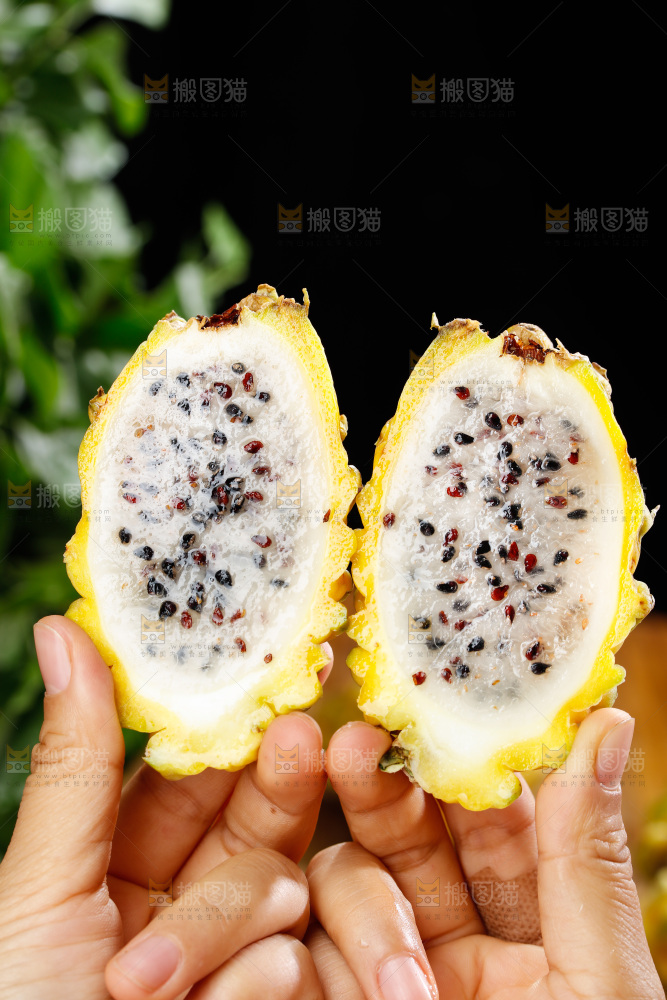 深底上的燕窝果