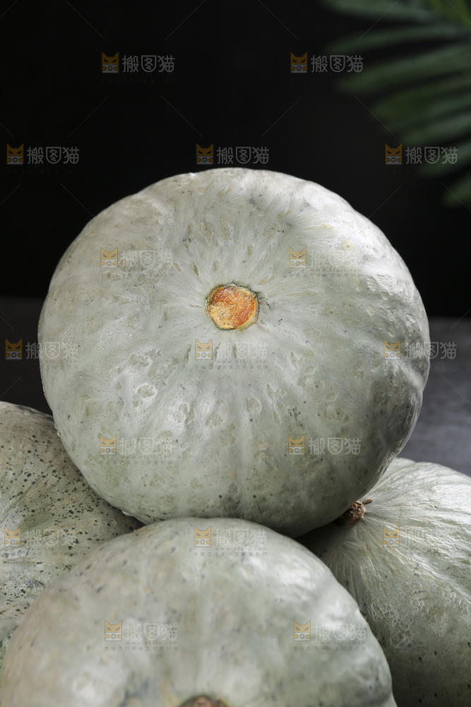 深底上的银栗南瓜