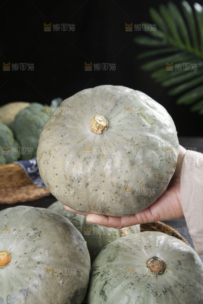 深底上的银栗南瓜