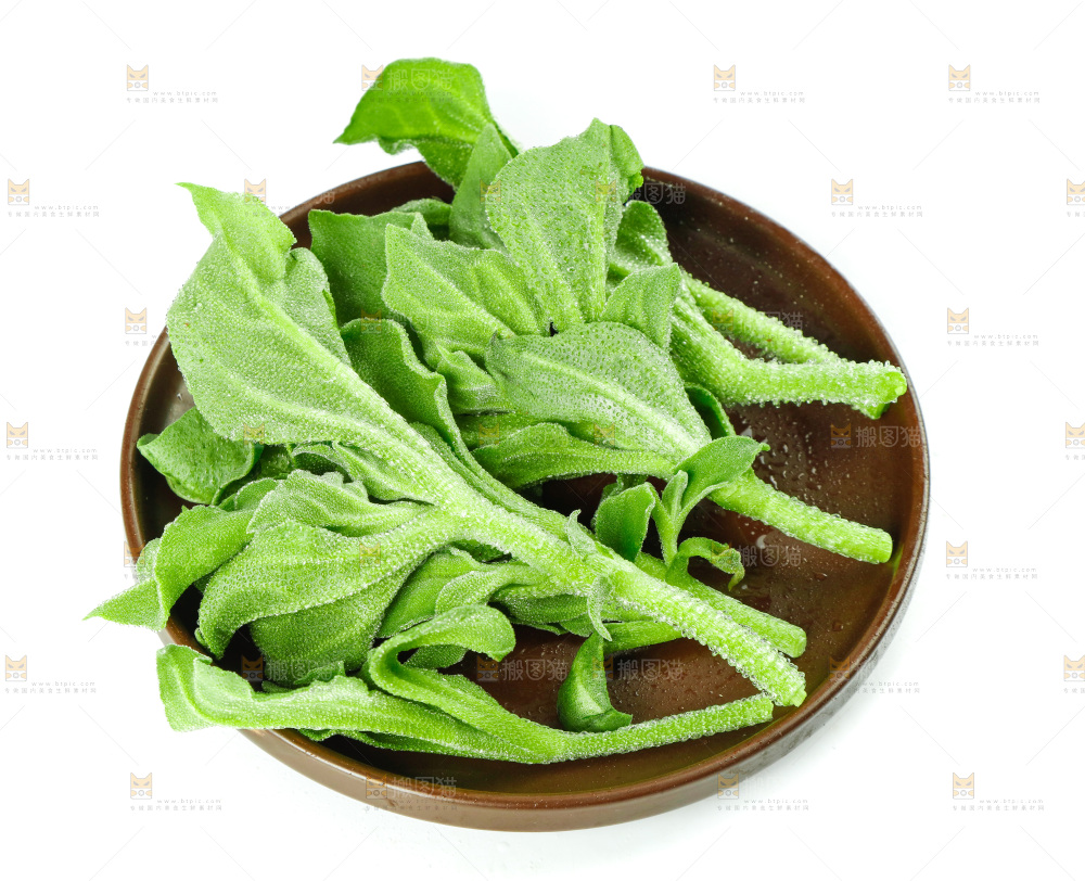 白底上的冰草