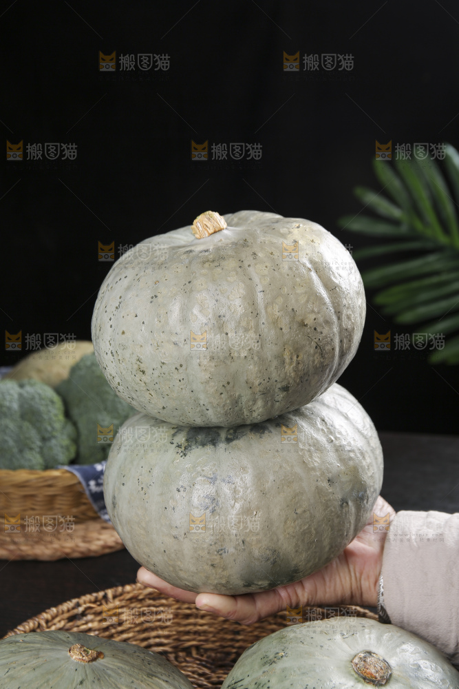 深底上的银栗南瓜
