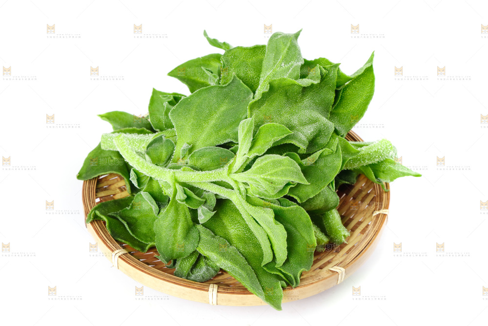 白底上的冰草