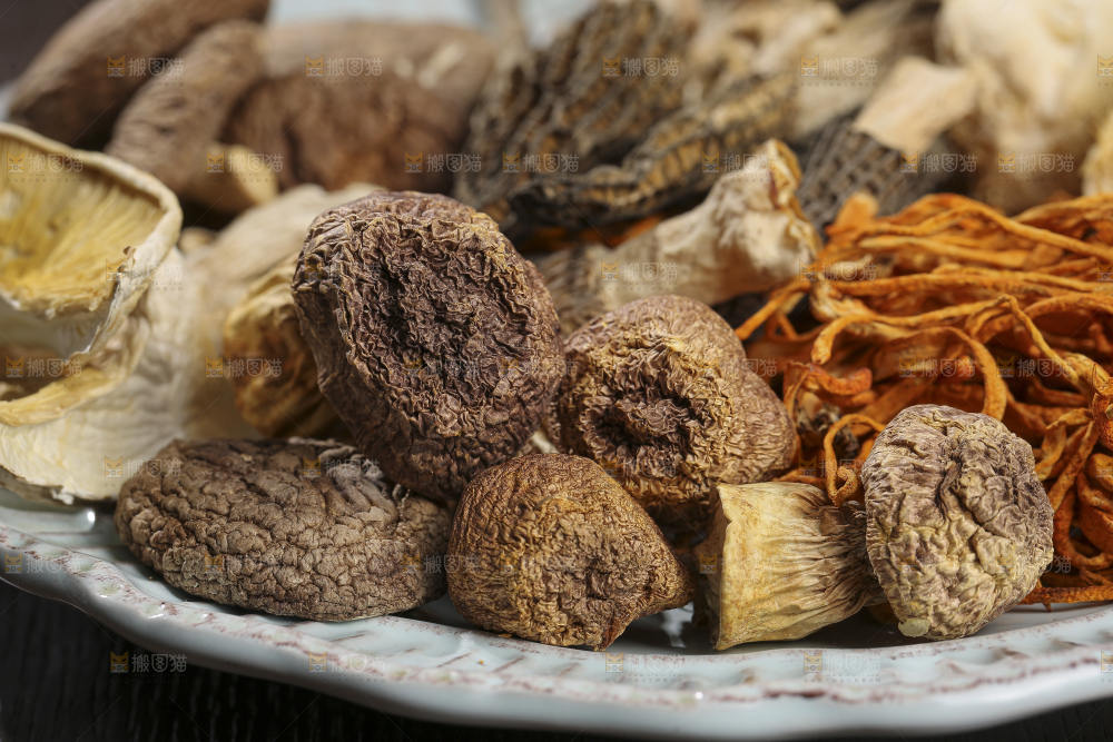 木底上的菌菇汤