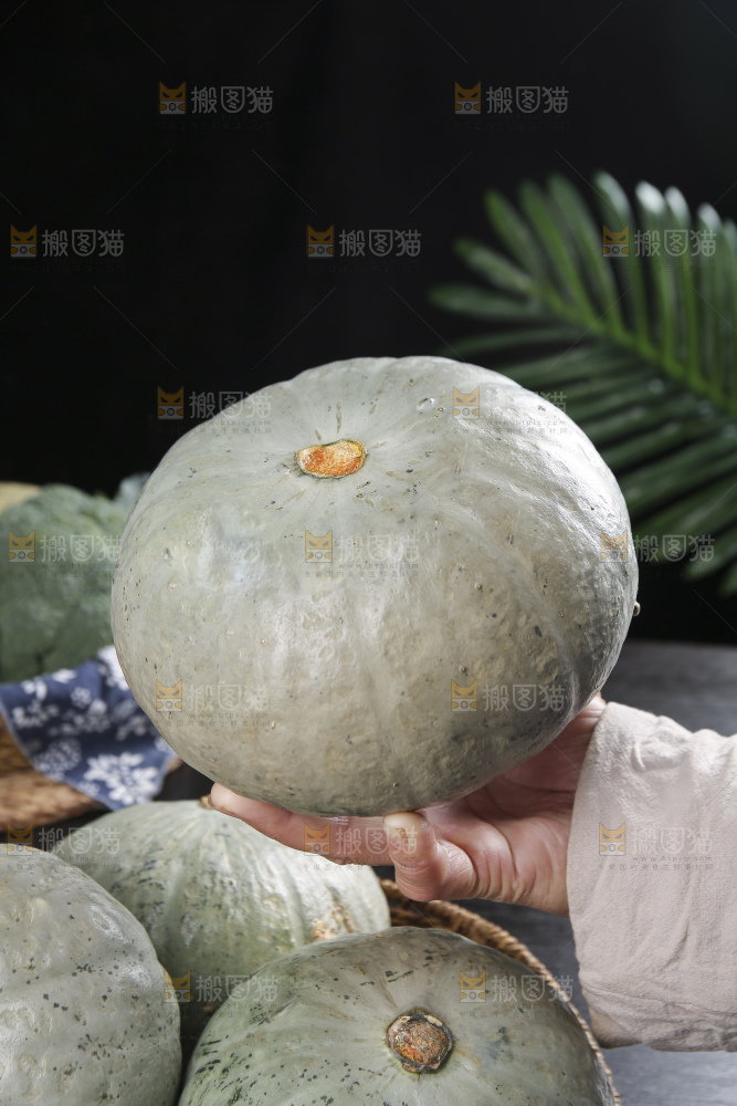 深底上的银栗南瓜