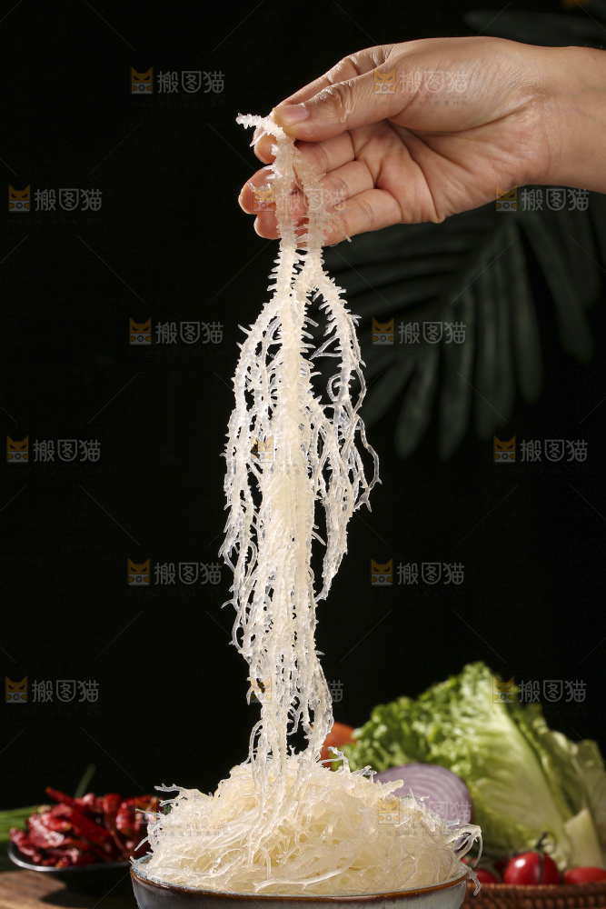 深底上的龙须菜
