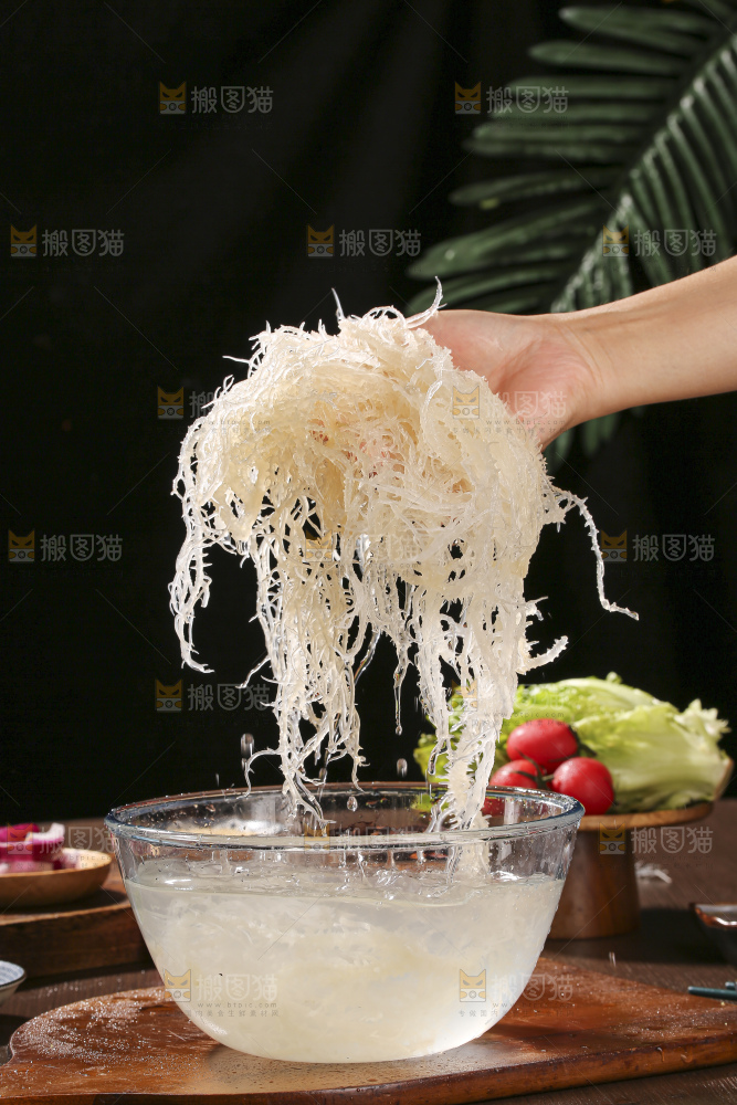 深底上的龙须菜