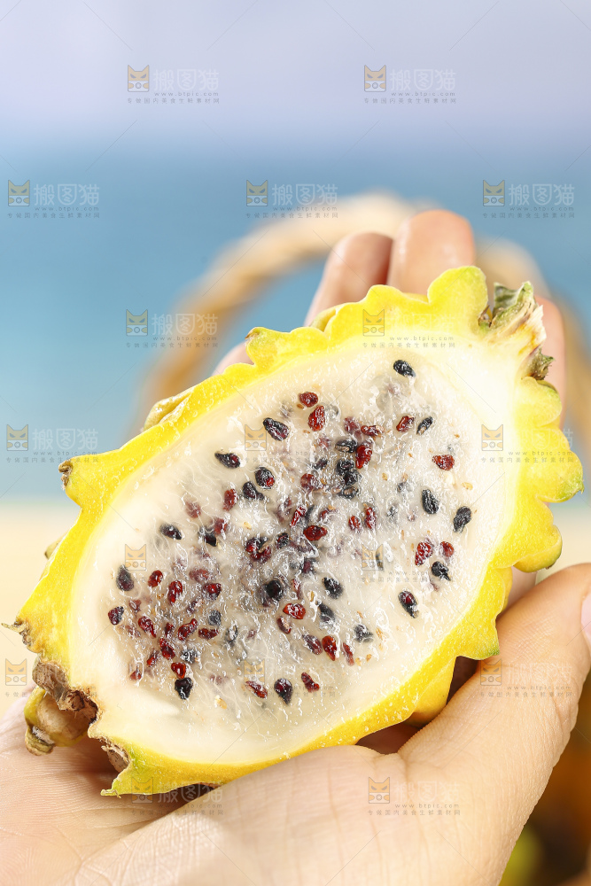 浅底上的燕窝果