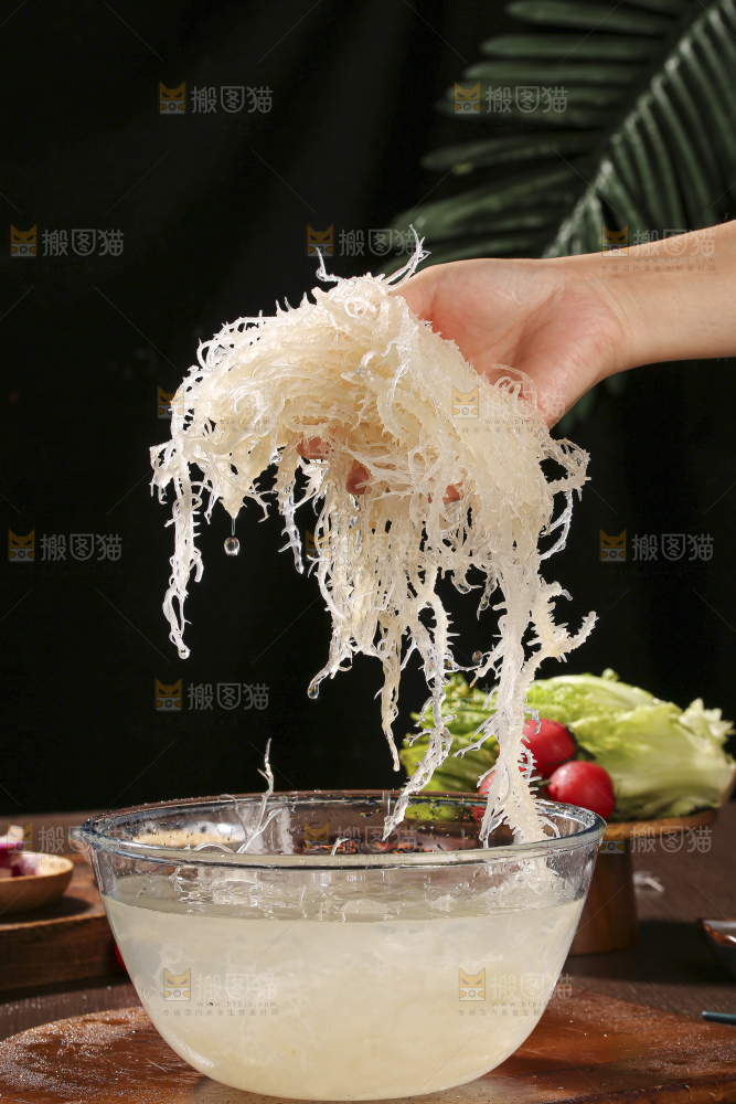 深底上的龙须菜