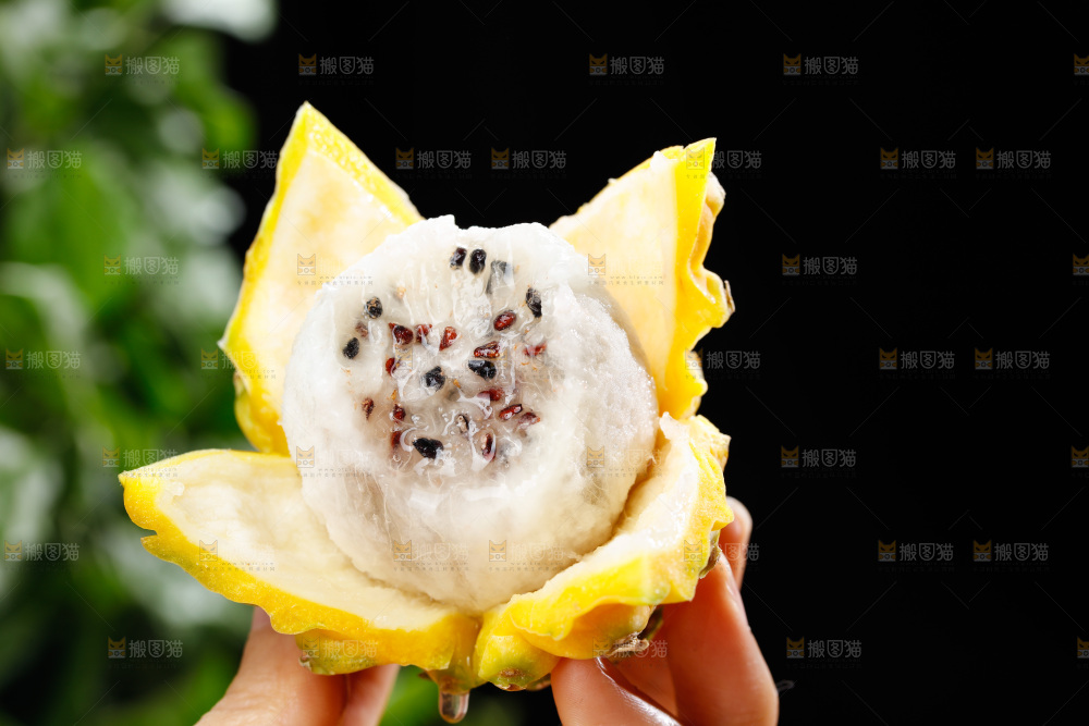 深底上的燕窝果