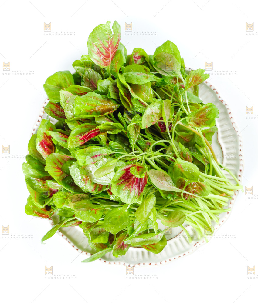白底上的农家苋菜