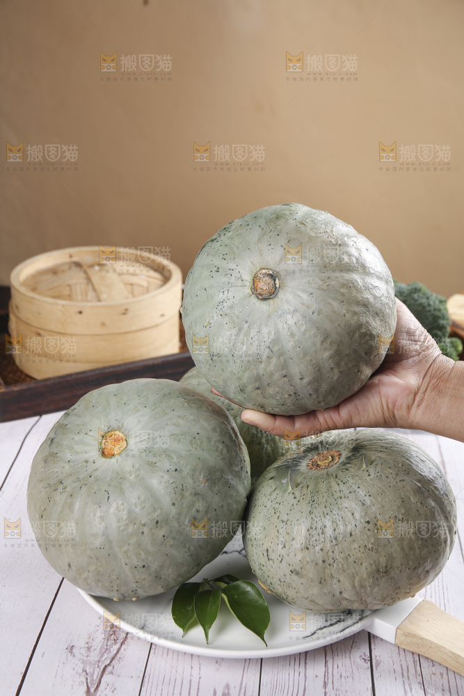 浅底上的银栗南瓜