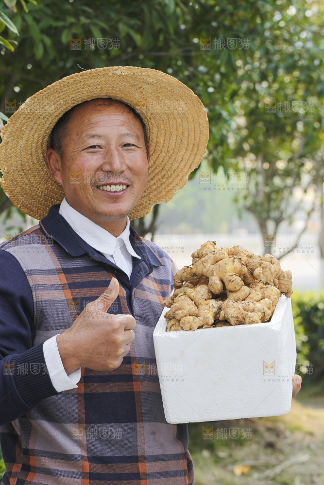 手里拿着新鲜生姜