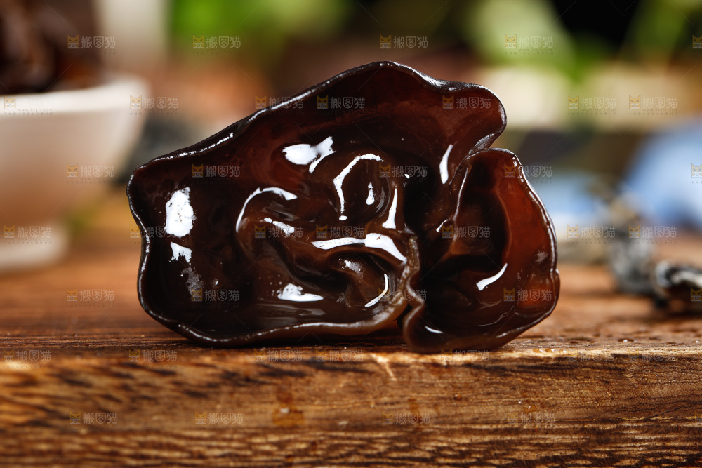 木底上的野生木耳
