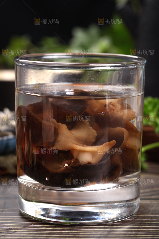 木底上的野生木耳