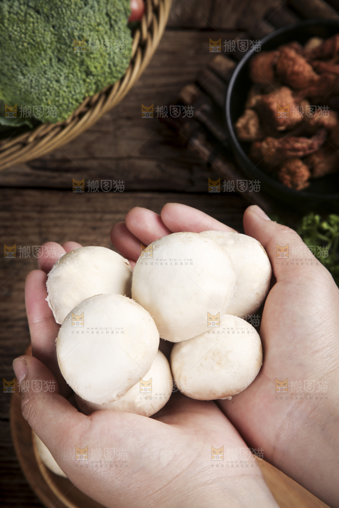 深底上的口蘑