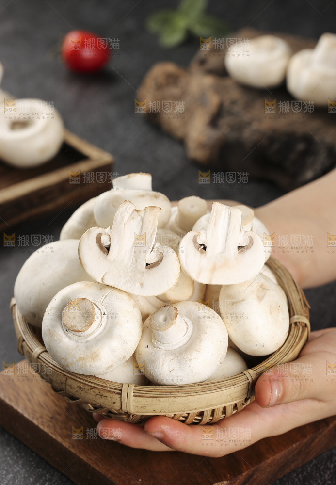 深底上的口蘑