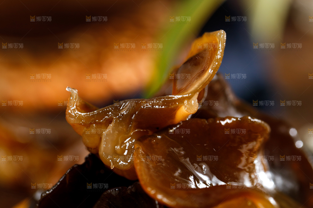 木底上的野生木耳