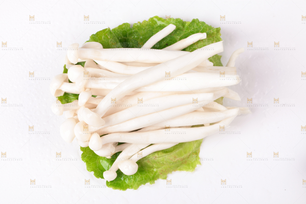 白底上的海鲜菇