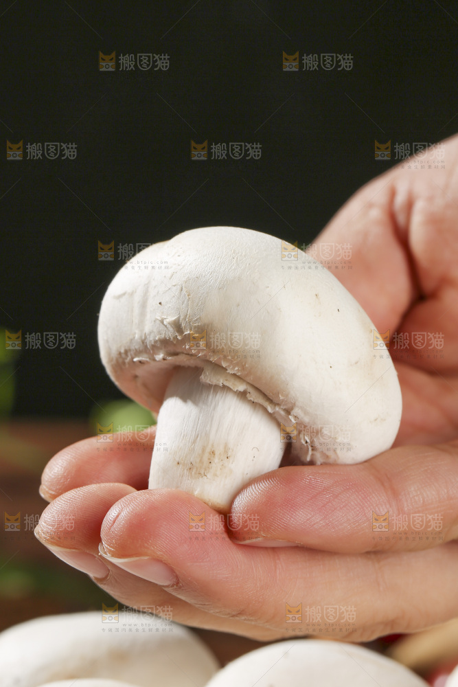 木底上的口蘑