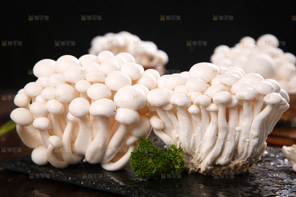 深底上的白玉菇