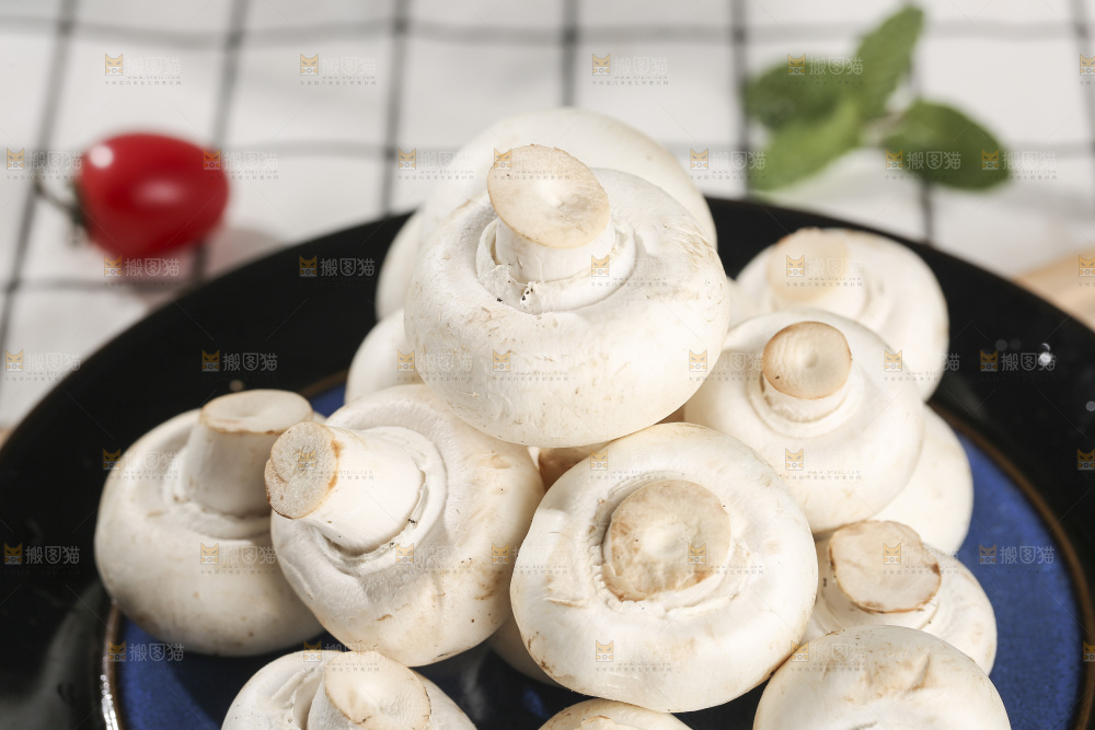 浅底上的口蘑