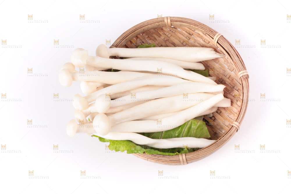 白底上的海鲜菇