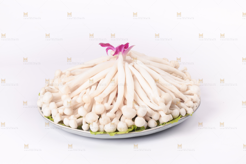 白底上的海鲜菇