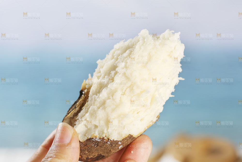 浅底上的云南山药