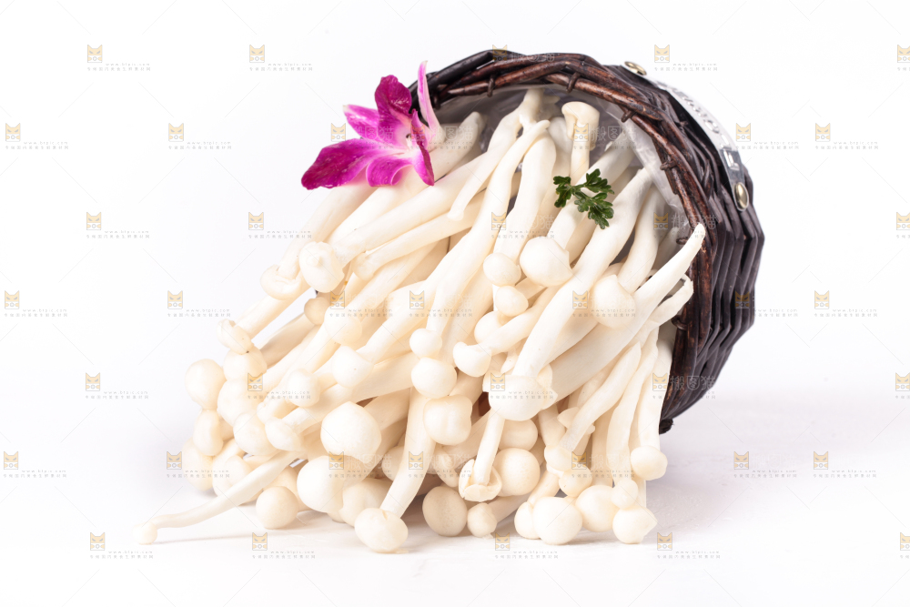 白底上的海鲜菇