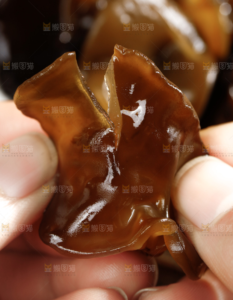 木底上的野生木耳